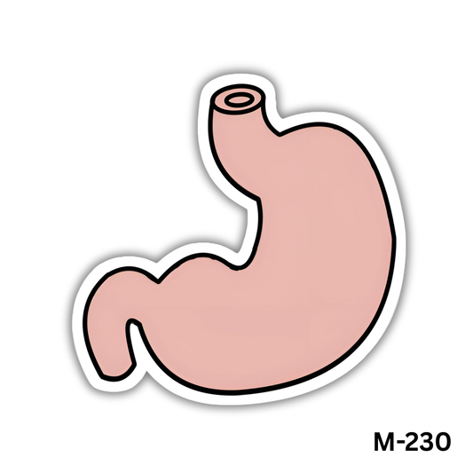 Stomach(M-230)