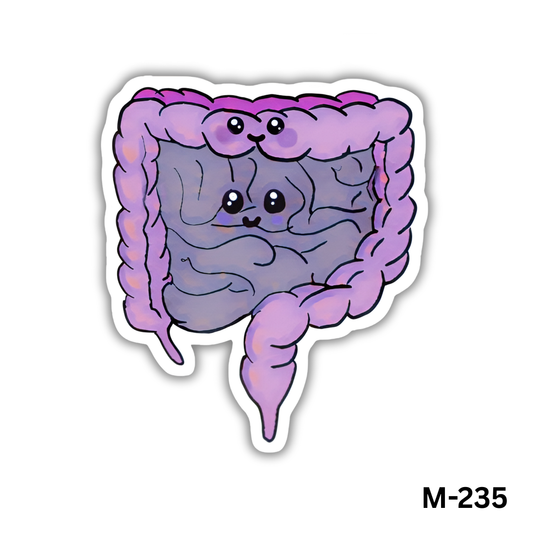 Intestines(M-235)