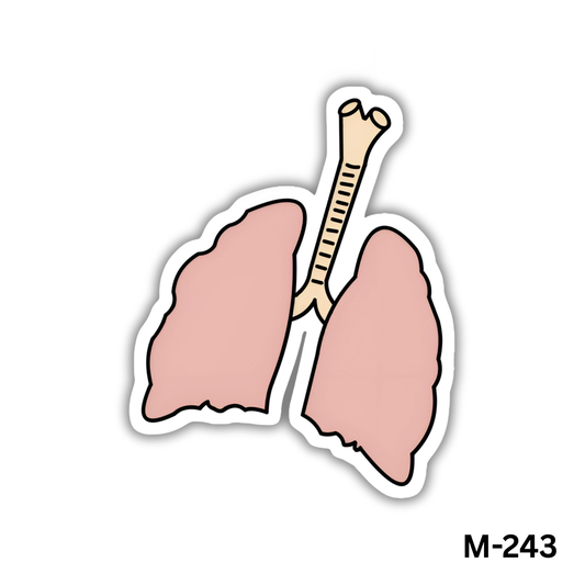 Lungs(M-243)