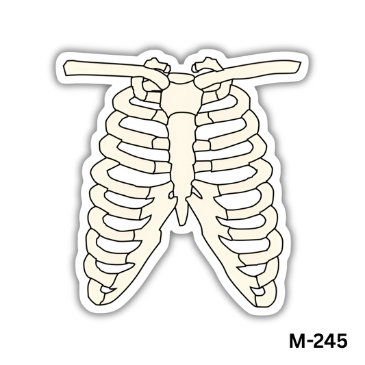 Rib Cage(M-245)