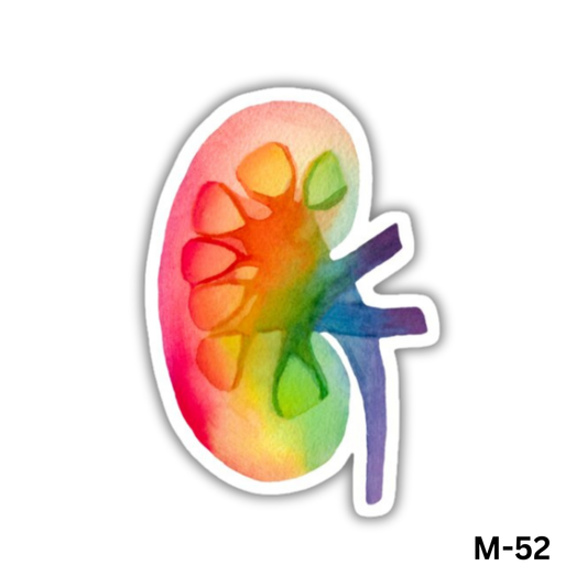 Kidney(M-52)