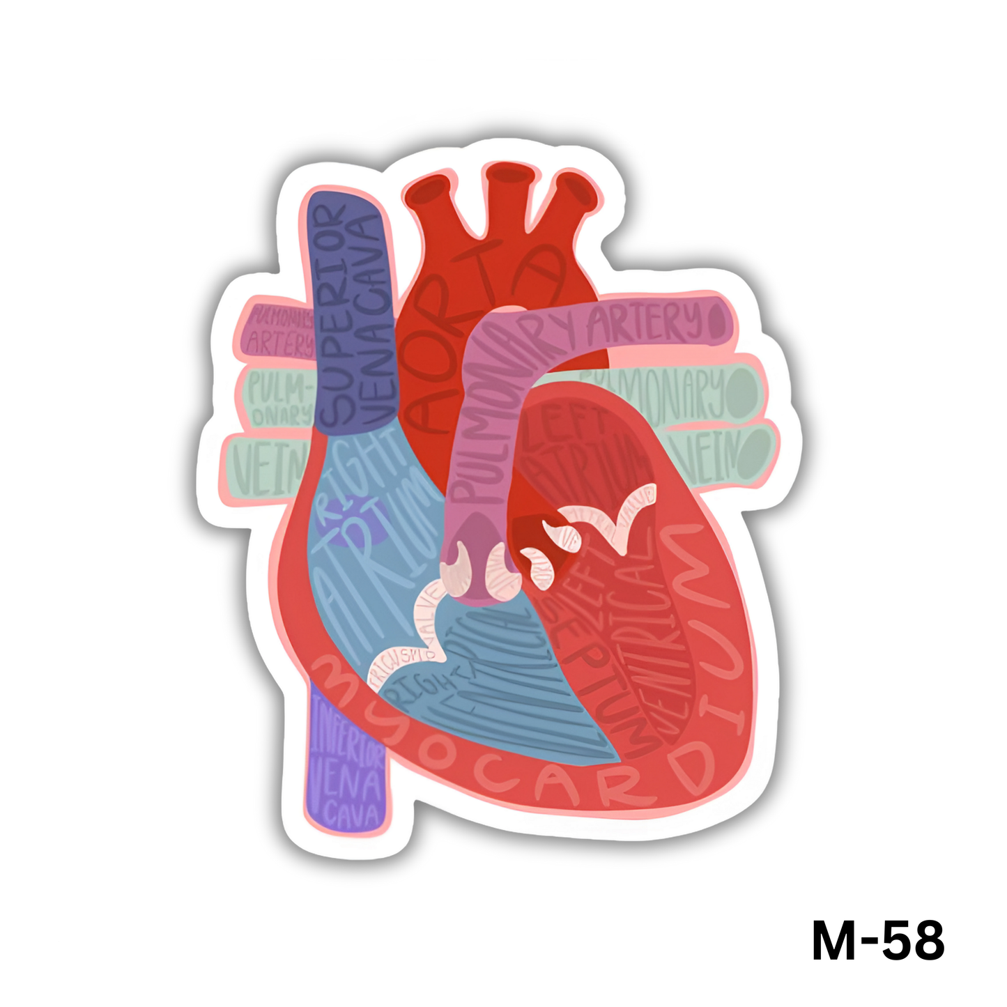 Heart(M-58)