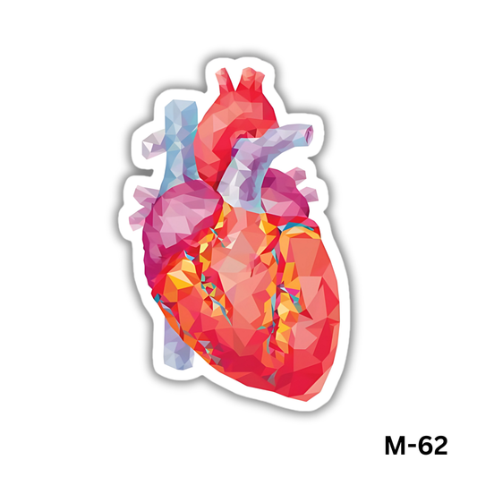 Heart(M-62)