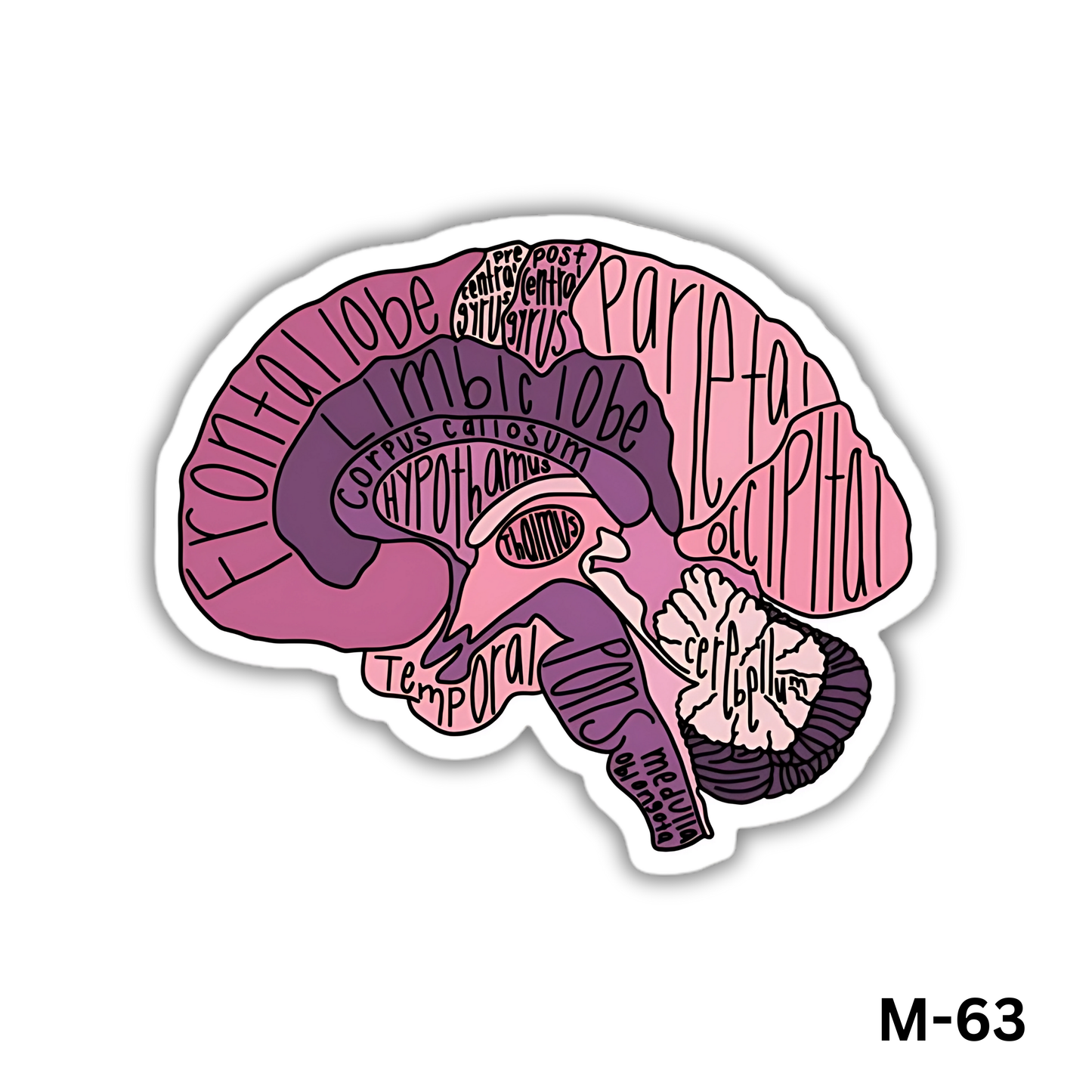 Labeled Brain(M-63)
