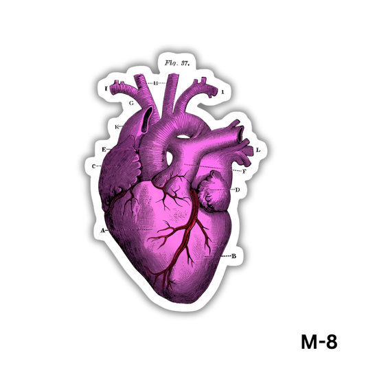 Heart(M-8)